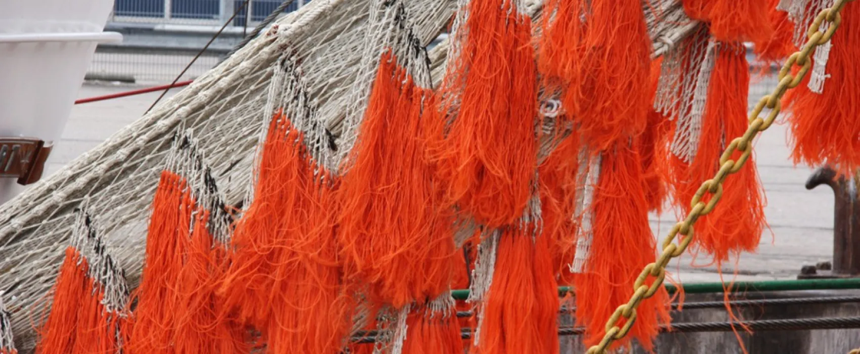 Natuurkampeerterrein Schoonenberg