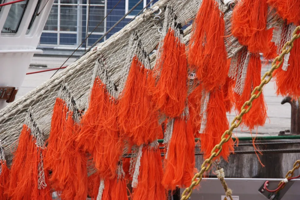 Natuurkampeerterrein Schoonenberg