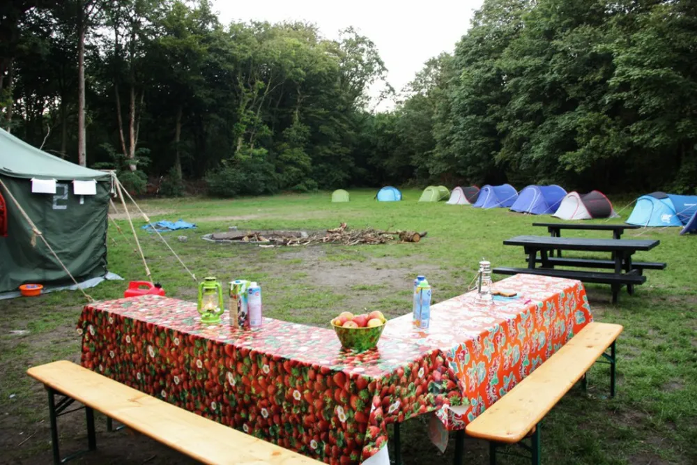 Natuurkampeerterrein Schoonenberg