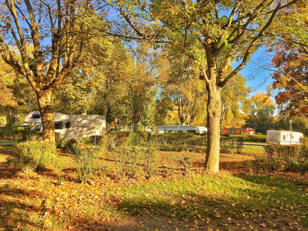 Camping de Riquewihr