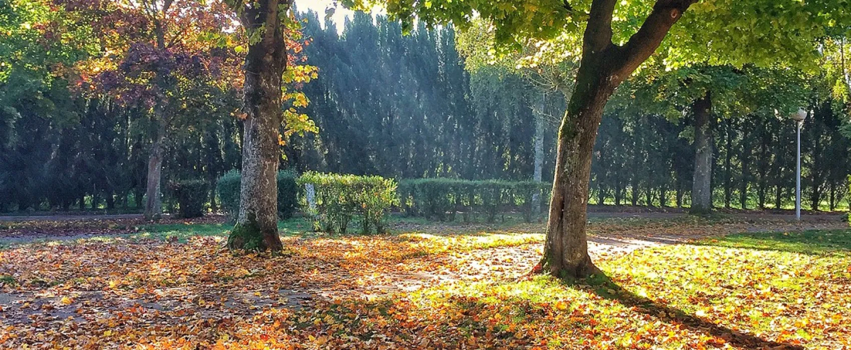 Camping de Riquewihr