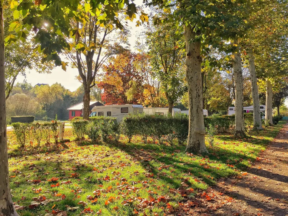 Camping de Riquewihr