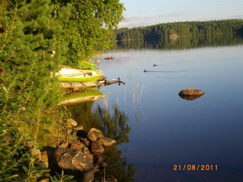 Saaramaa Camping photo 5