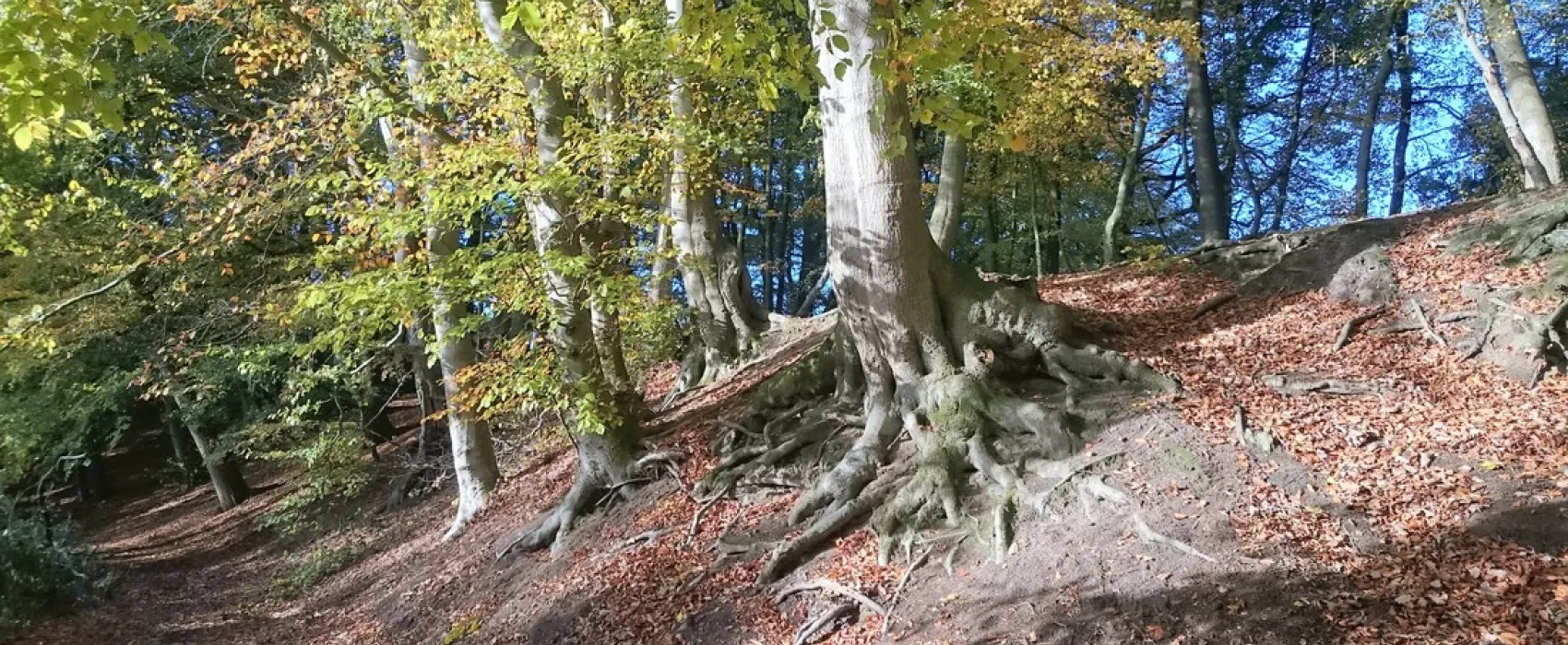 Seecamping Weisser Brunnen