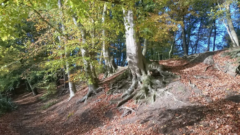 Seecamping Weisser Brunnen