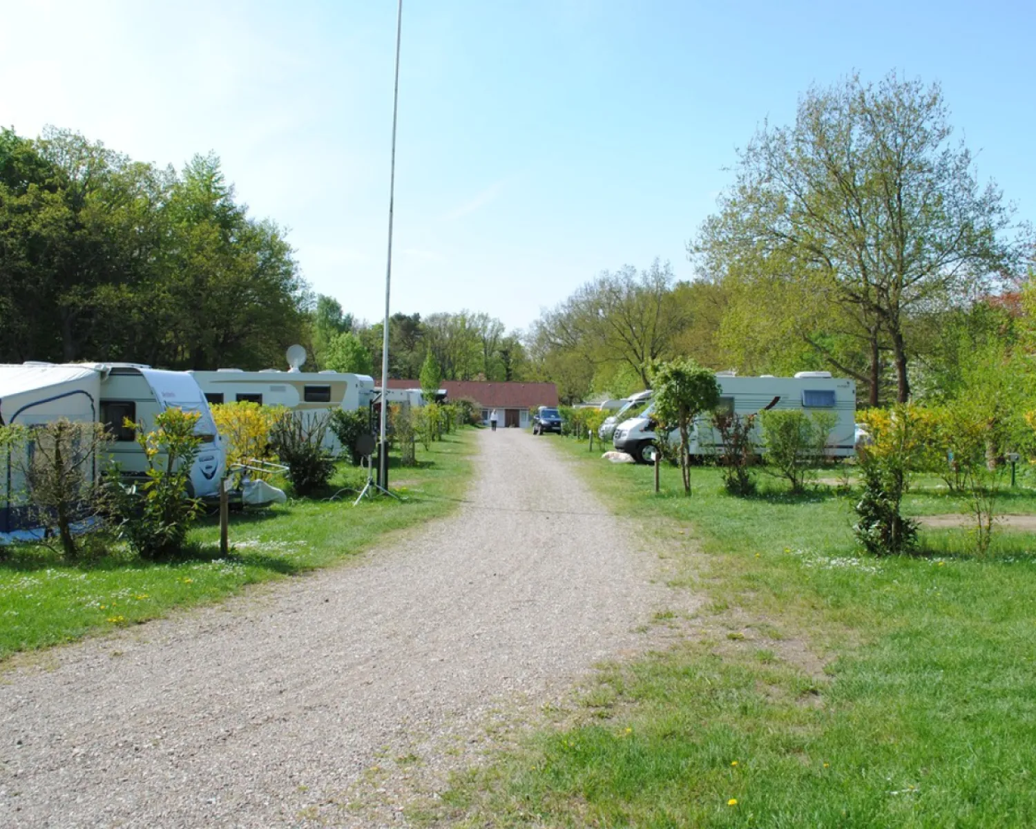 hngematte abdeckung Headdemock Superb Hngemattenset mit Kissen und Bezug  Licht-Kraus