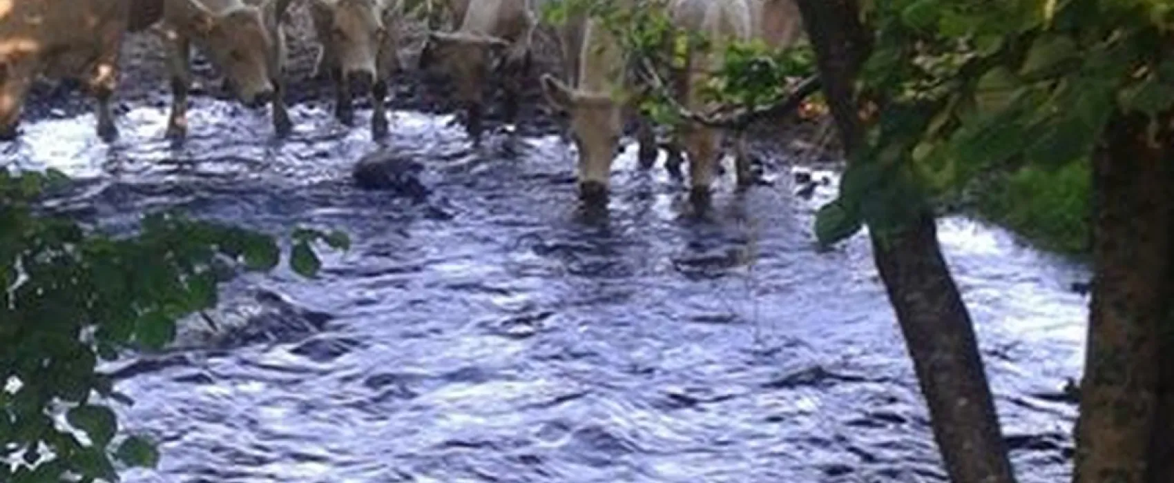 Camping Municipal Les Deux Rivieres  