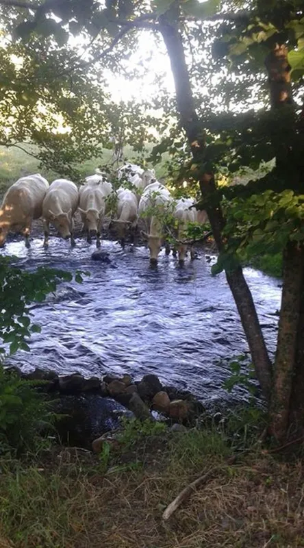 Camping Municipal Les Deux Rivieres  