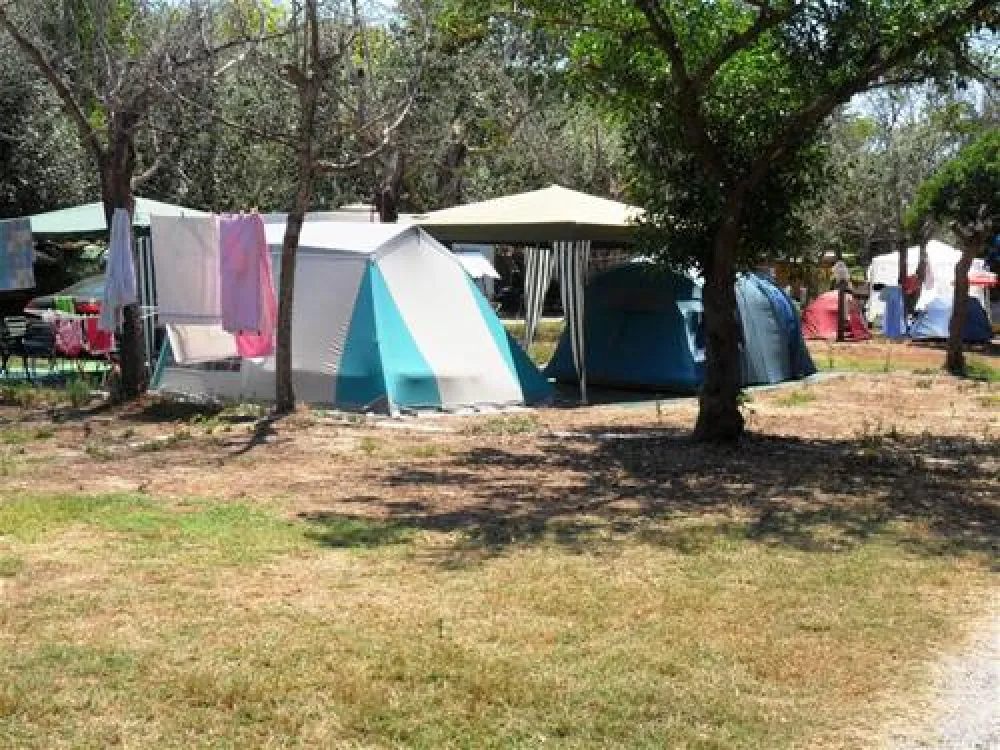 Camping Malvarrosa de Corinto