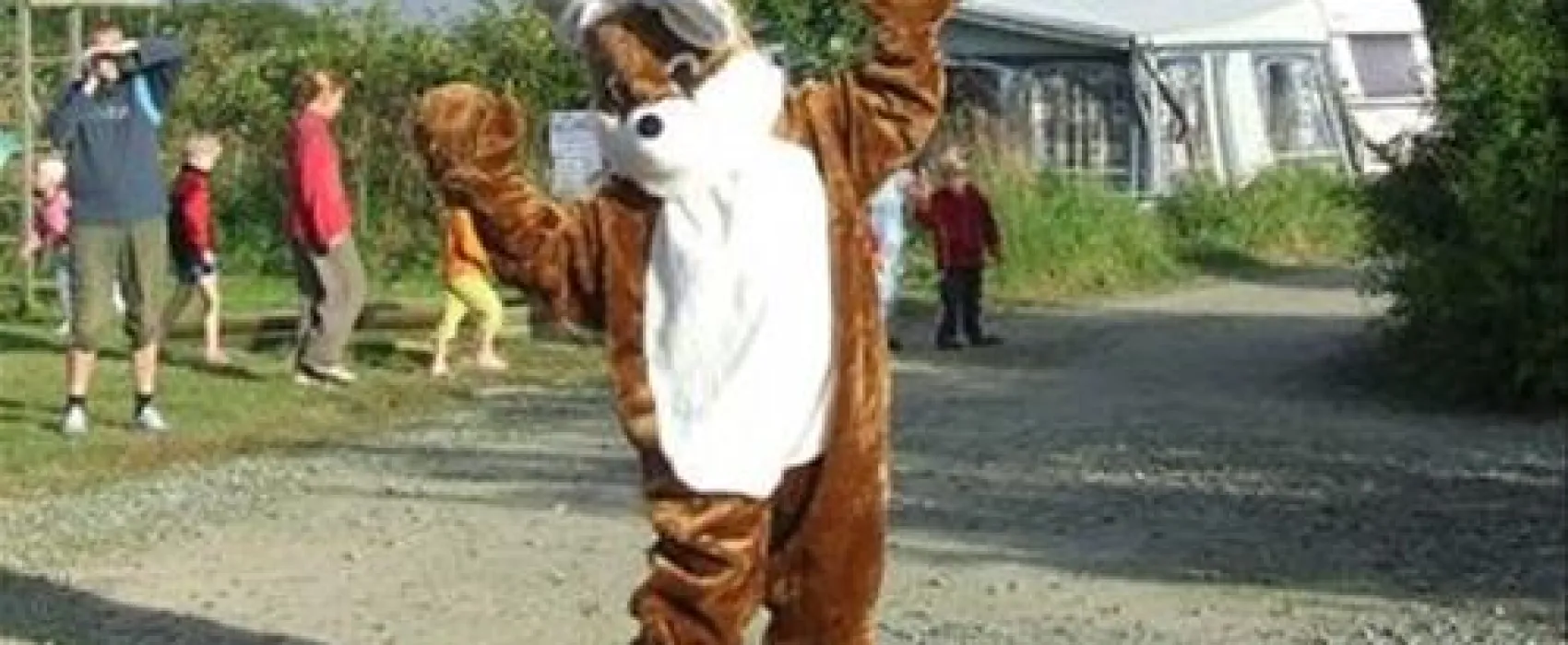 Camping aire naturelle Le Coq Hardi  