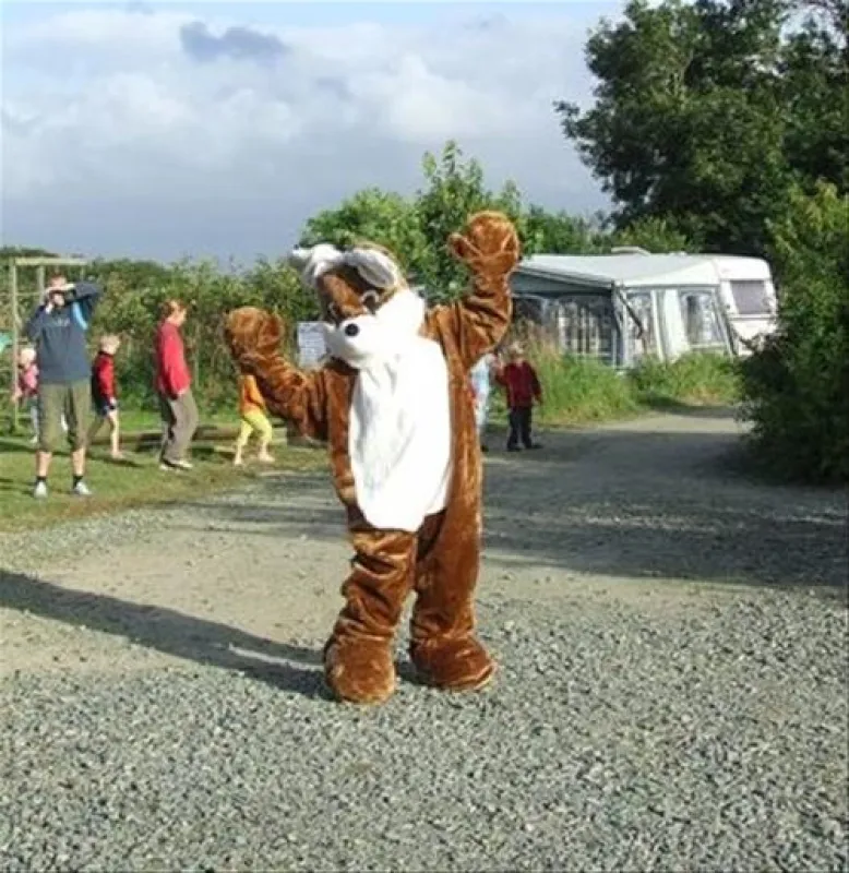 Camping aire naturelle Le Coq Hardi  