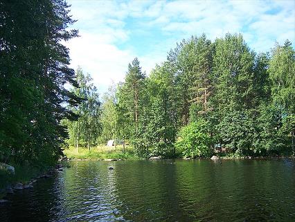 Mäntymotelli photo 2