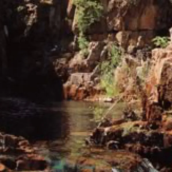 Batchelor Resort Caravillage