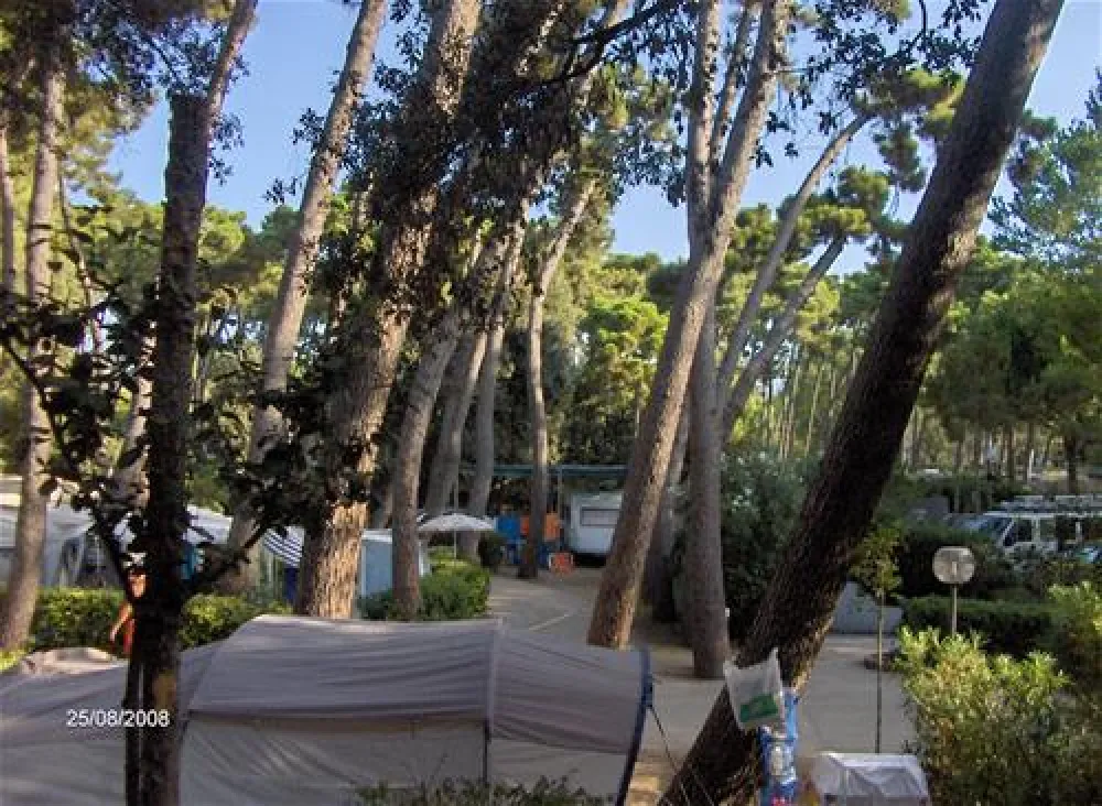 Camping Settebello