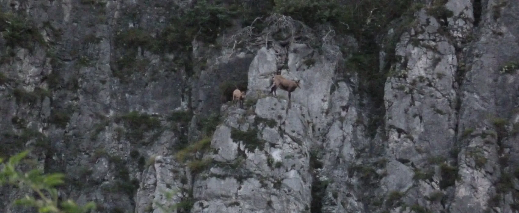 Camping Tiefental ‘Roppnerhof’