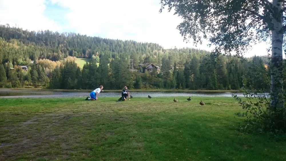 Hyllandsfoss Camping