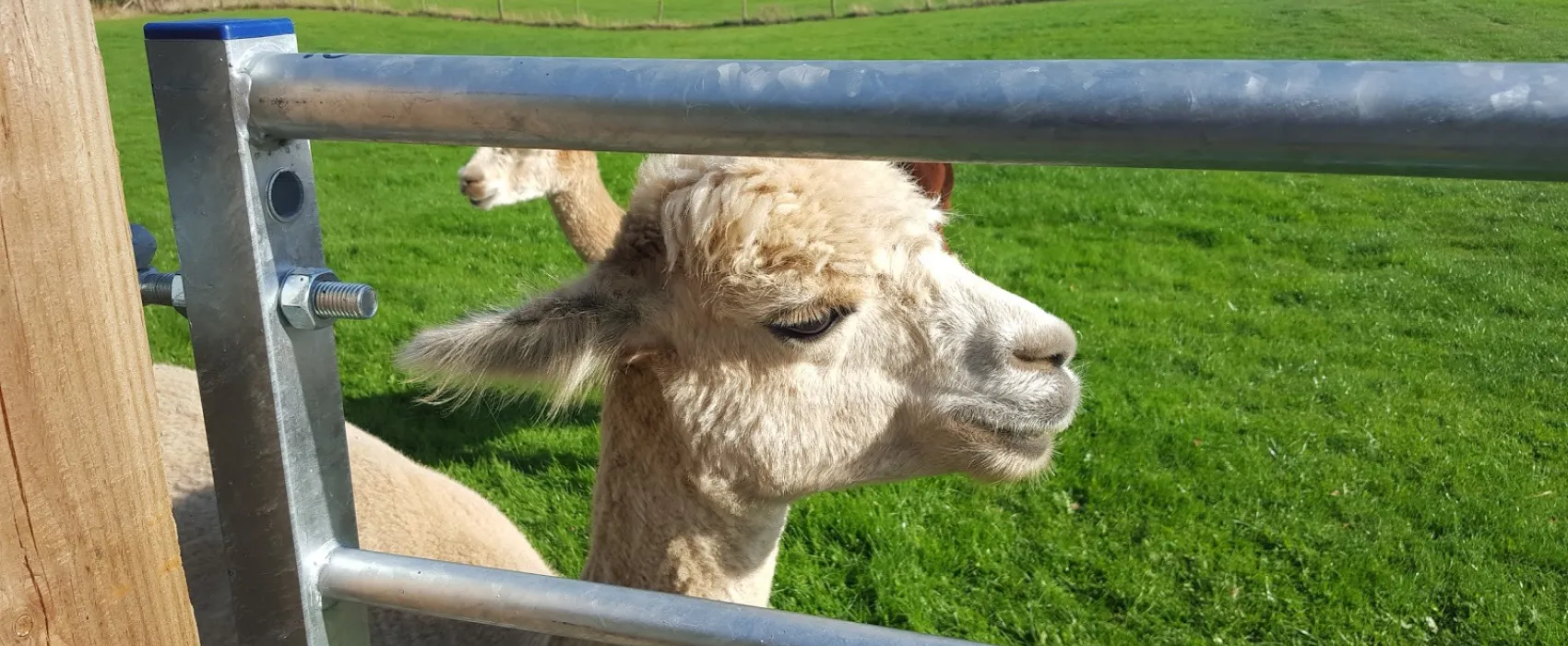 Lower Lacon Caravan Park