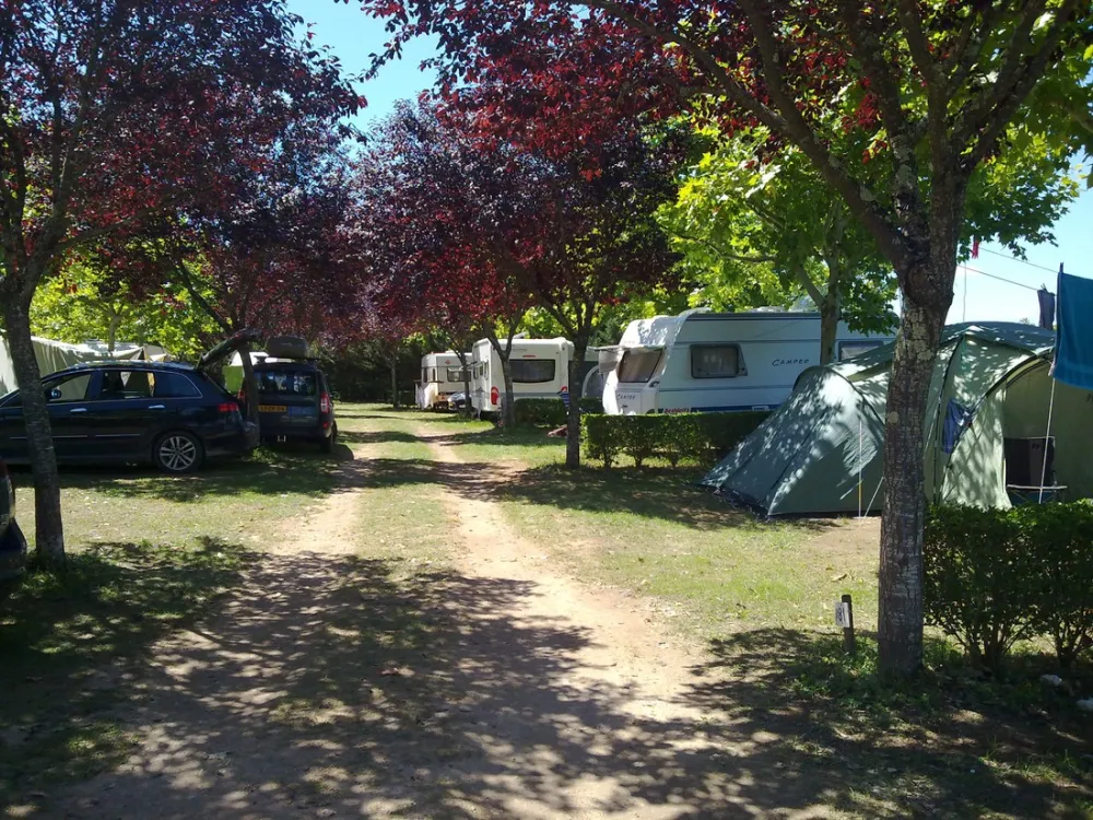 Camping Pech De Caumont  