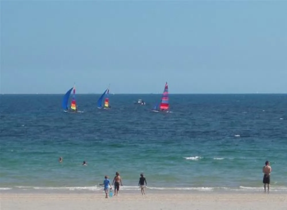 Flower Camping Kerscolper