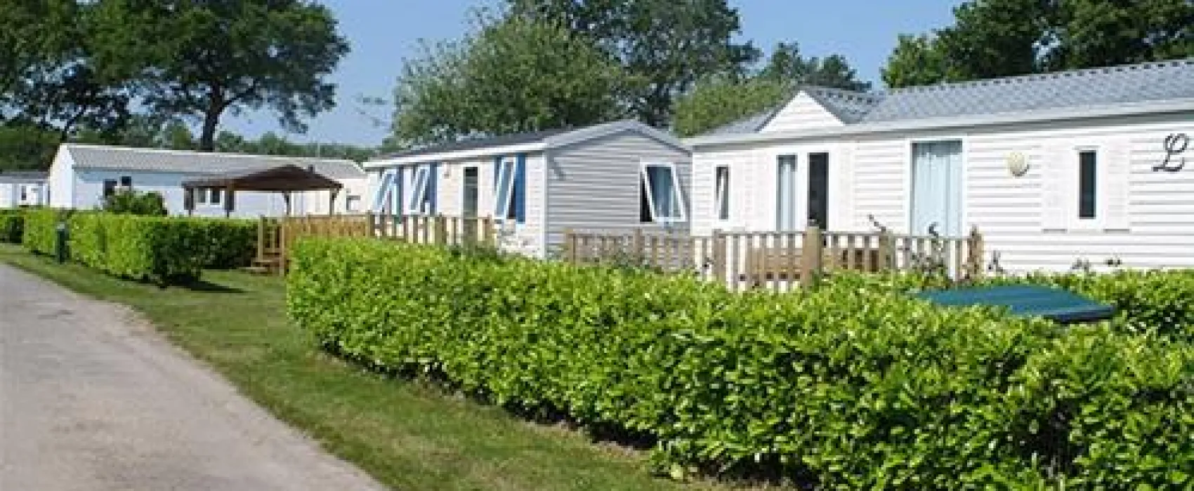 Flower Camping Kerscolper