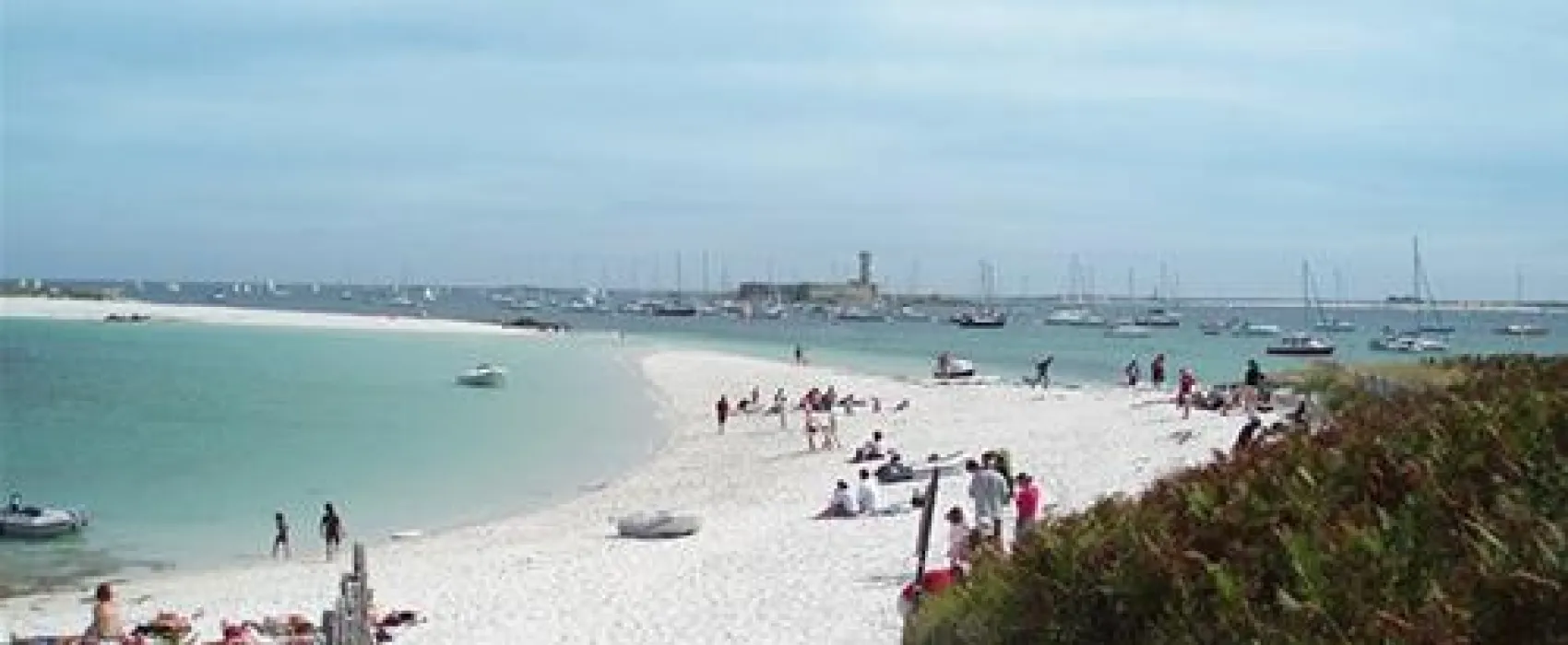 Flower Camping Kerscolper