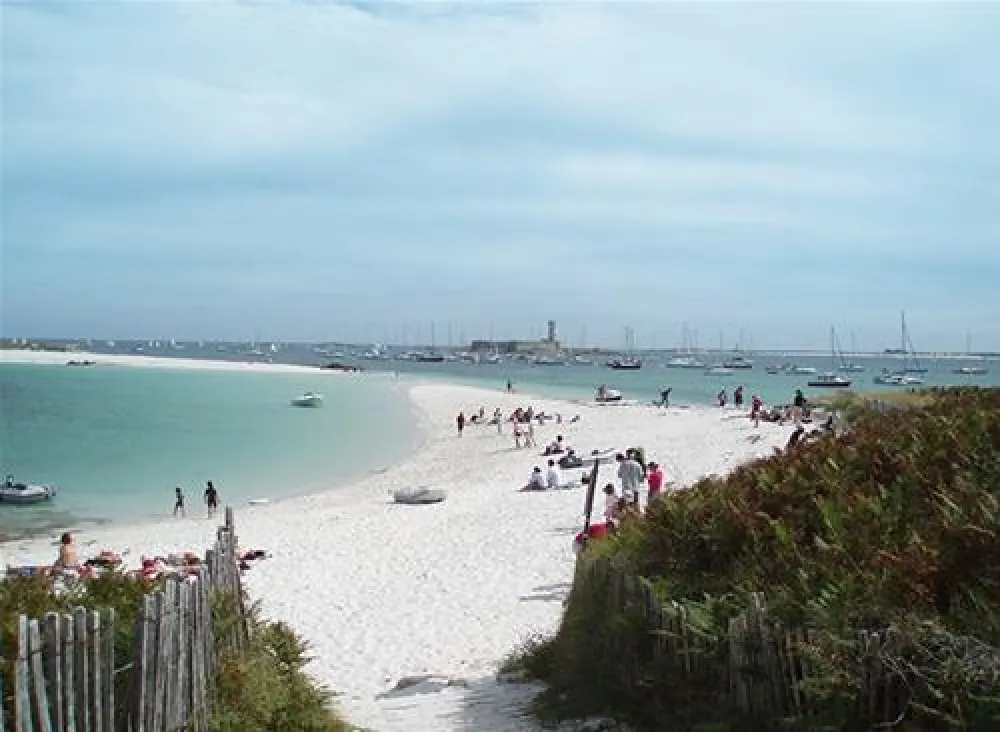 Flower Camping Kerscolper