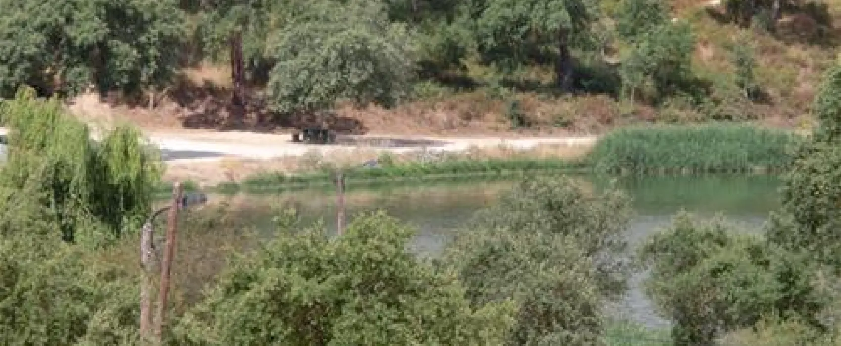 Parque Campismo Alpiarça