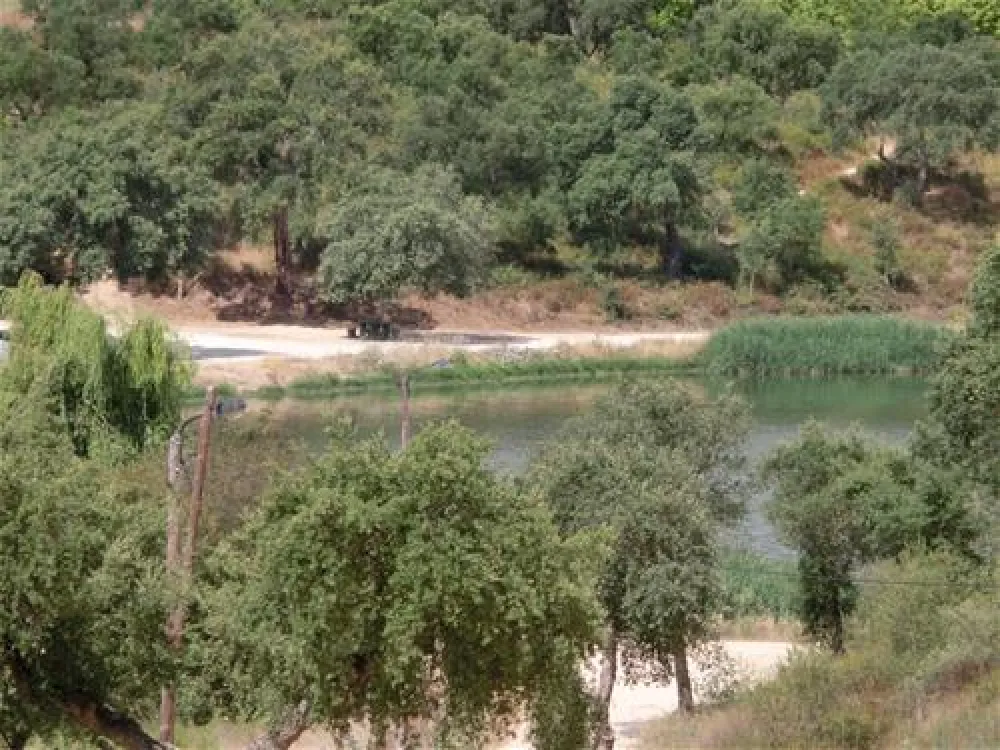 Parque Campismo Alpiarça