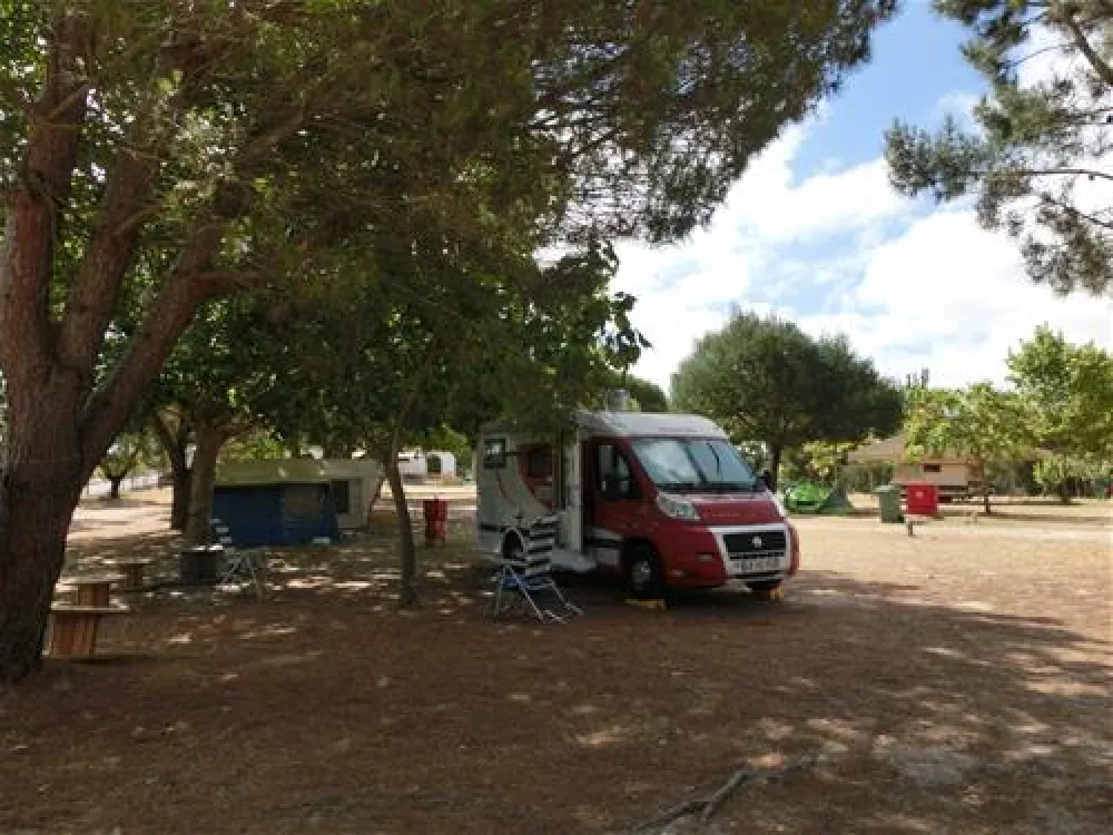 Parque Campismo Alpiarça