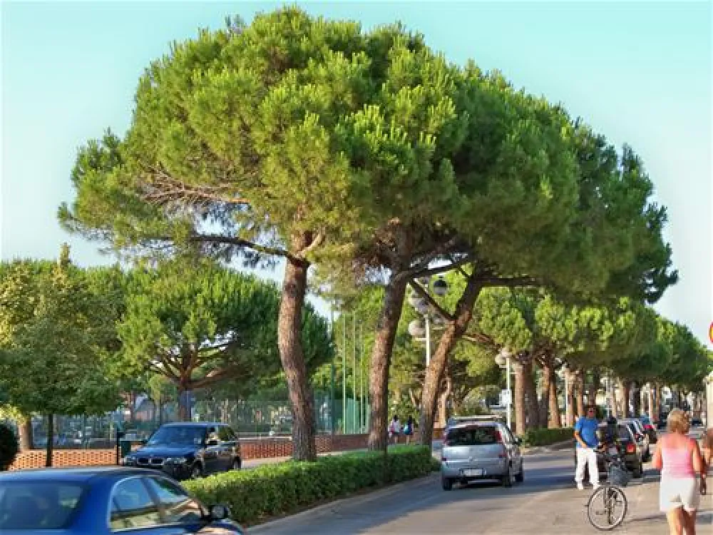 Camping Santa Margherita