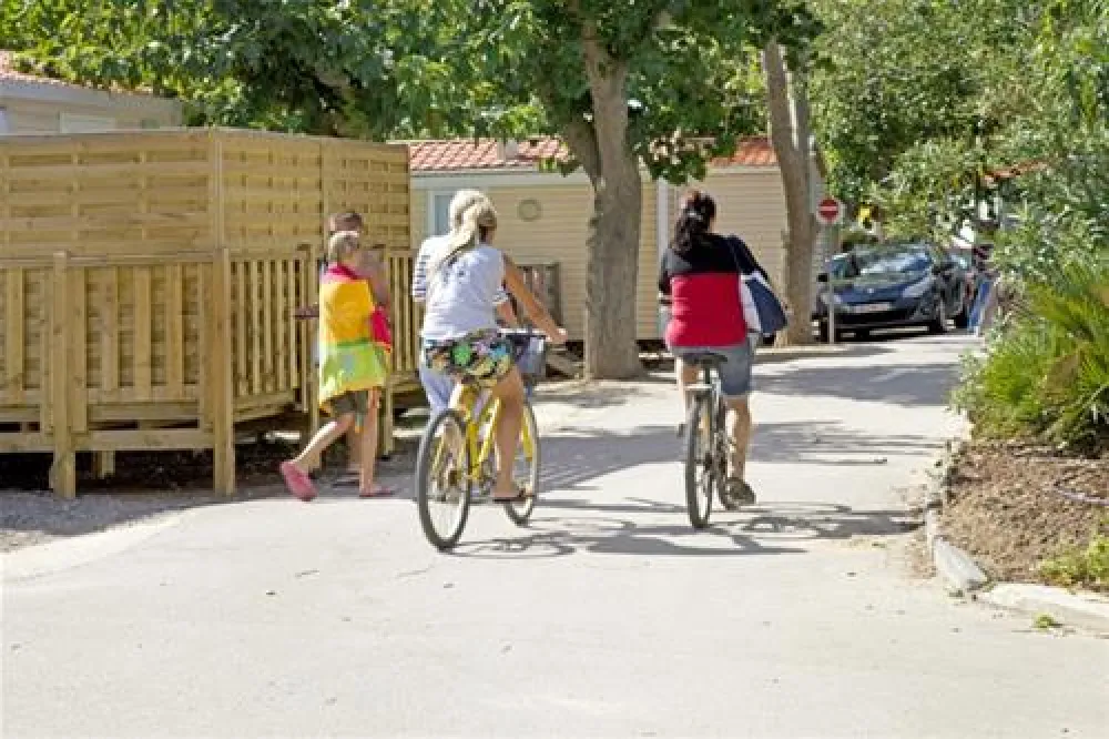 Camping Le Petit Mousse  