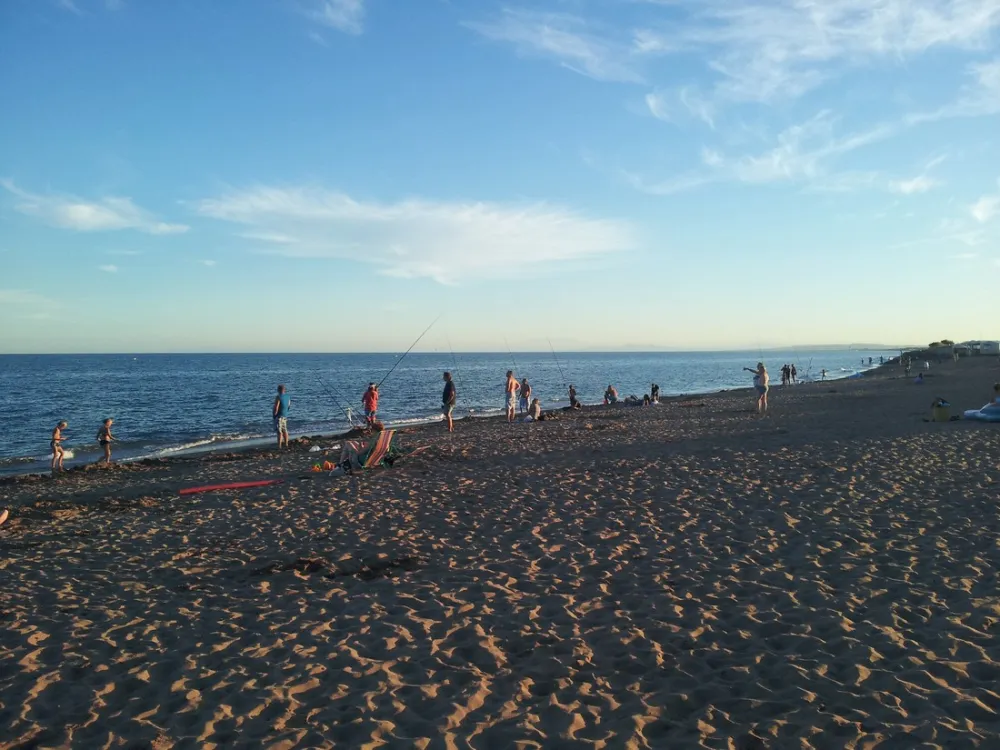 Camping Le Petit Mousse  