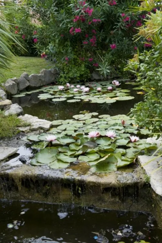 Camping Le Petit Mousse  