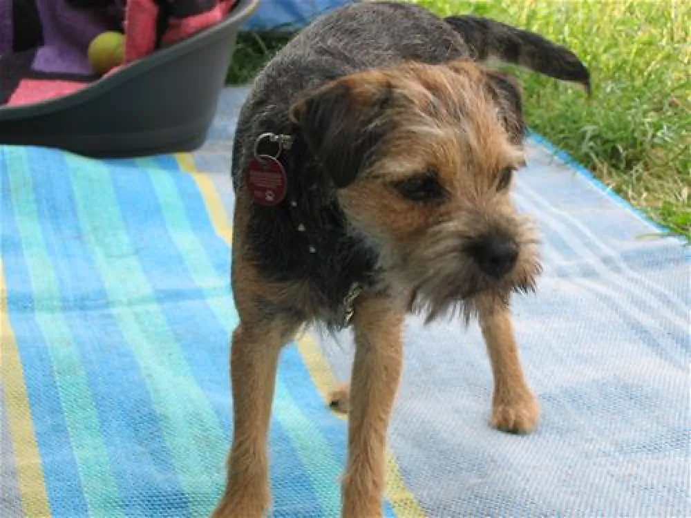 Campeggio San Francesco