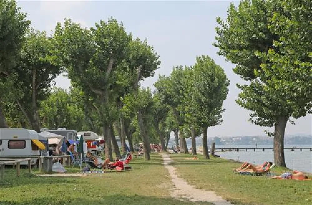 Campeggio San Francesco