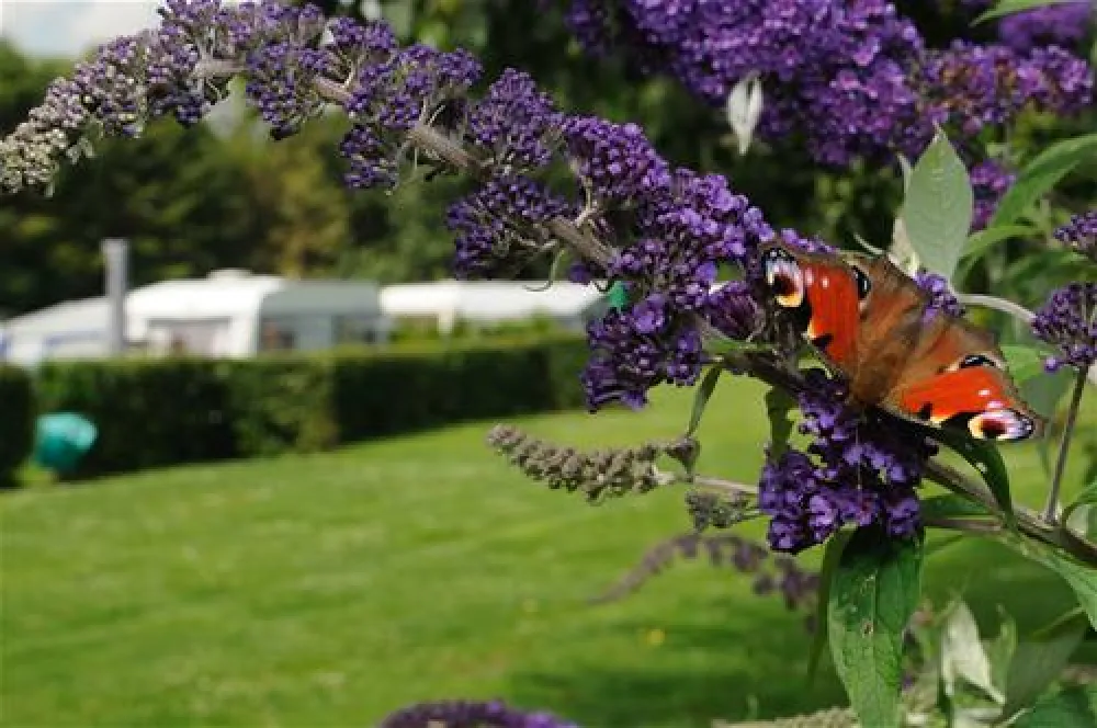 Natupark Het Verlaat