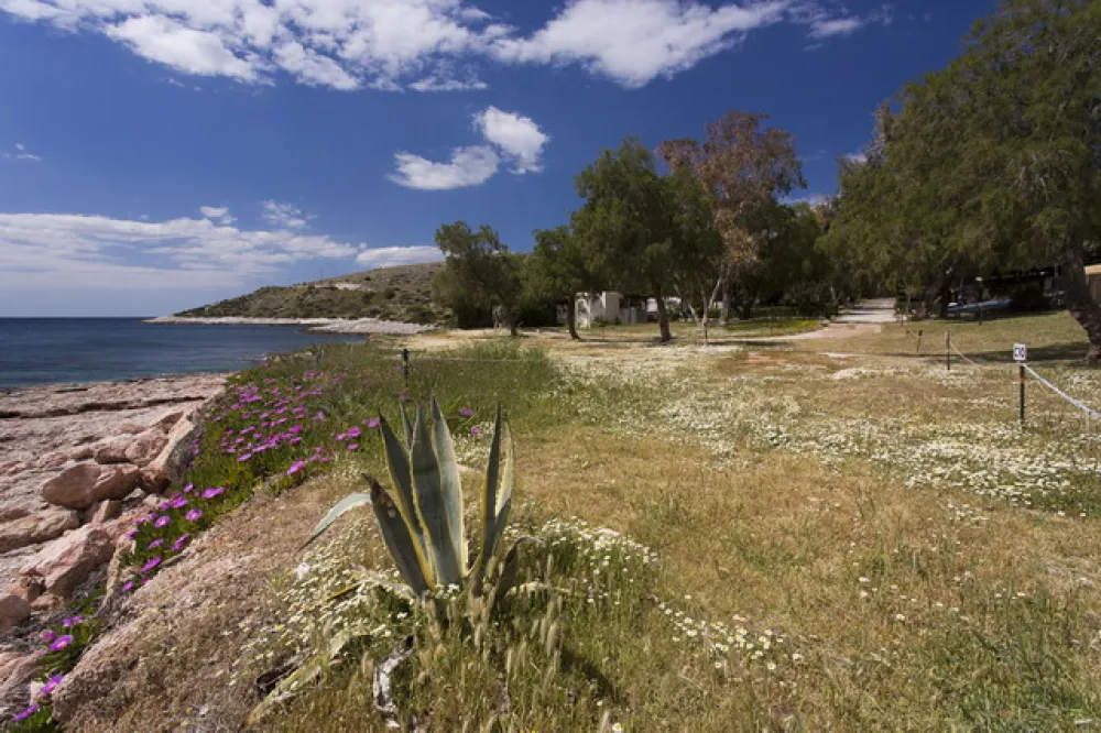 Camping Varkiza Beach