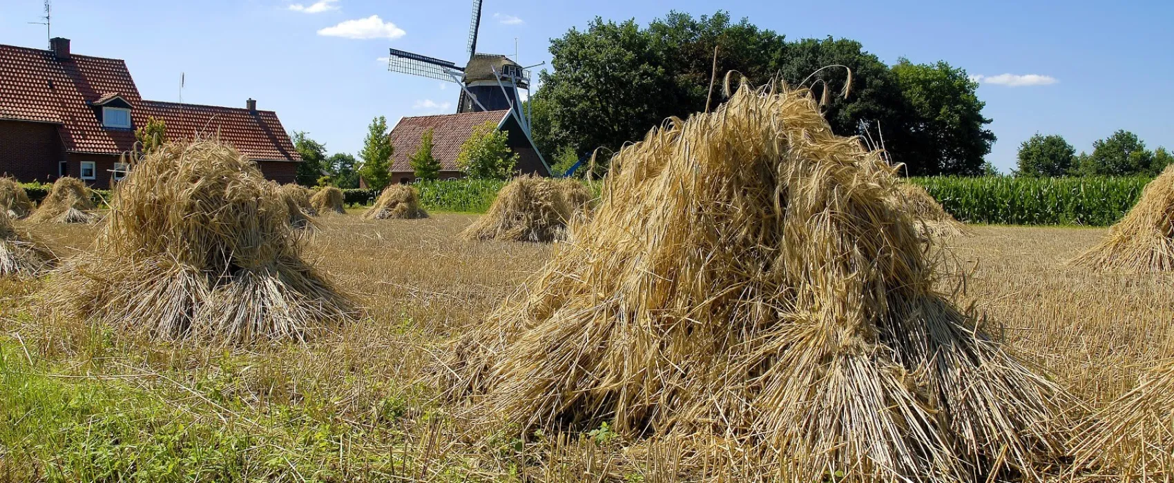 Camping De Bergvennen