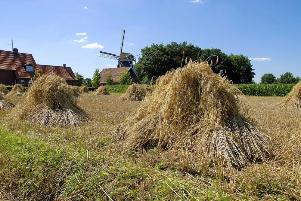 Camping De Bergvennen