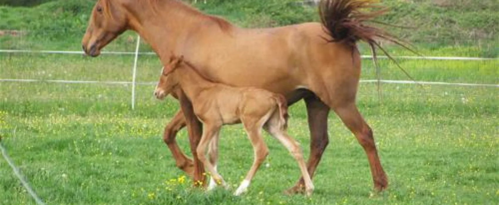 La Ferme de Montenon  