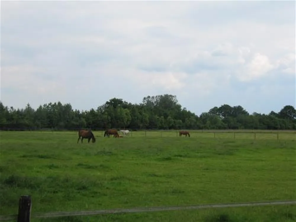 Camping De Biesterij