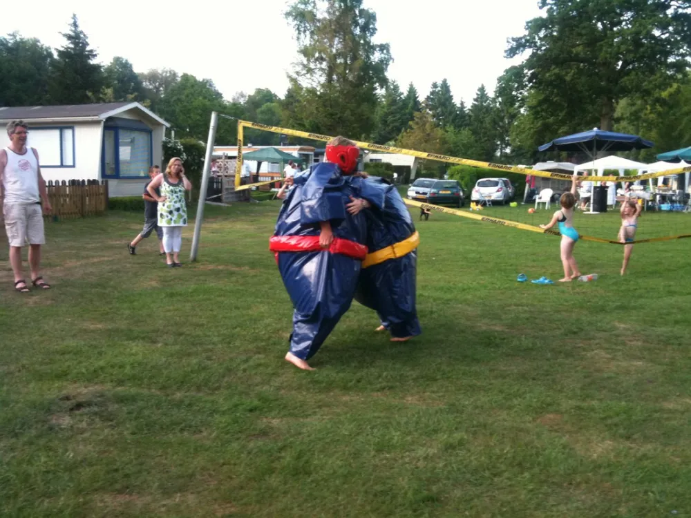 Camping De Biesterij