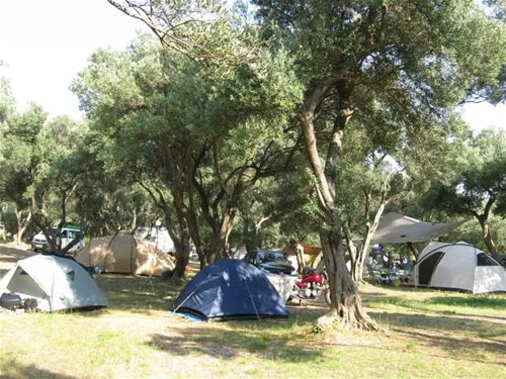Camping Prapratno