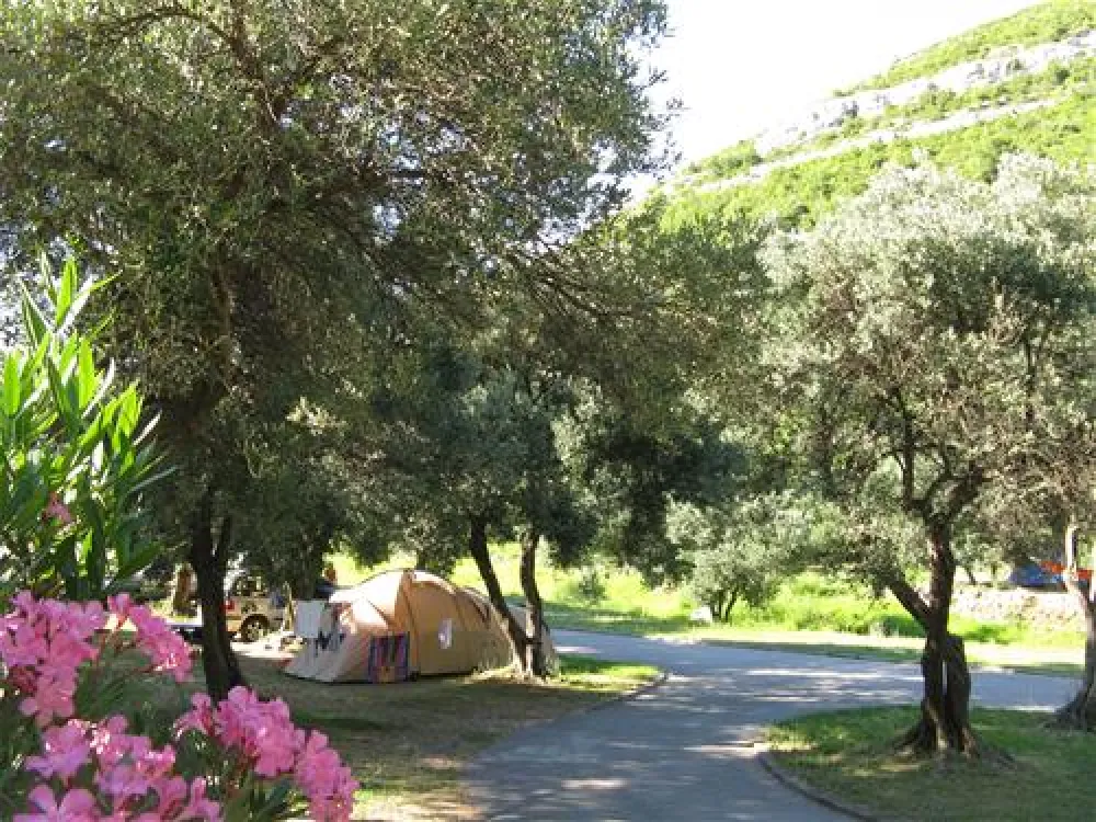 Camping Prapratno