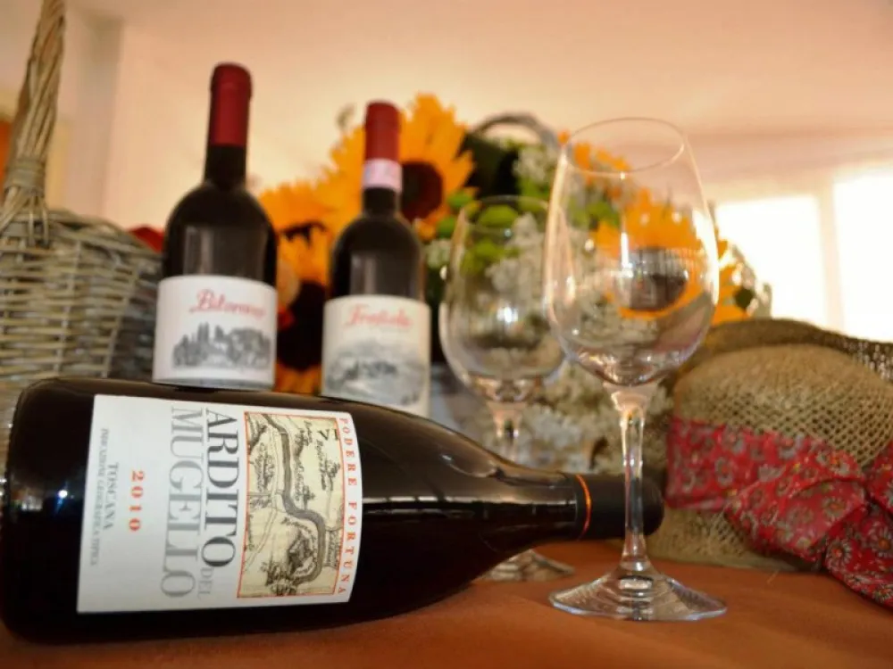 Camping Village Mugello Verde