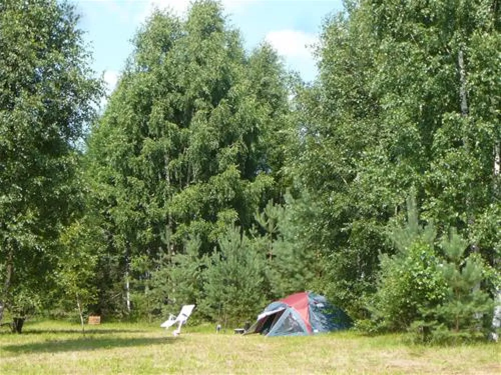 Green Camping