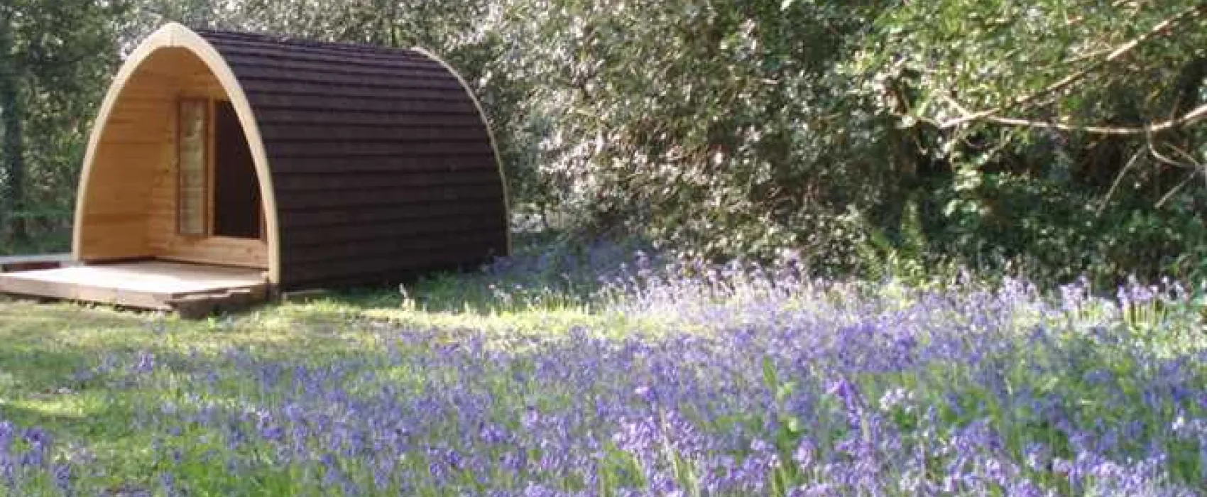 Ruthern Valley Holidays