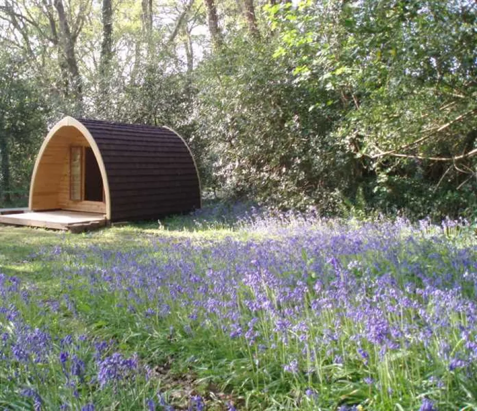 Ruthern Valley Holidays