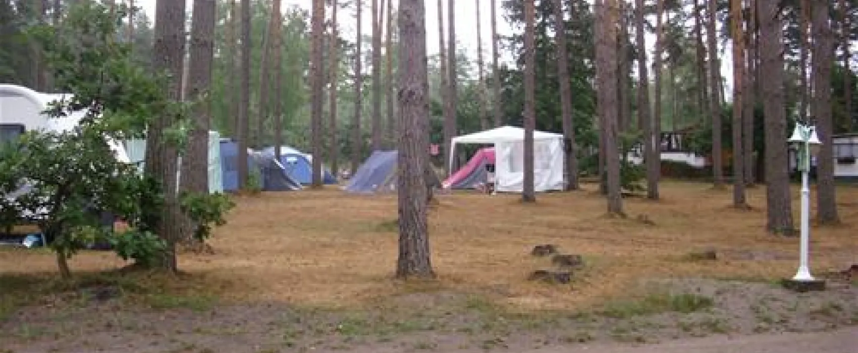 Campingoase Waldsee