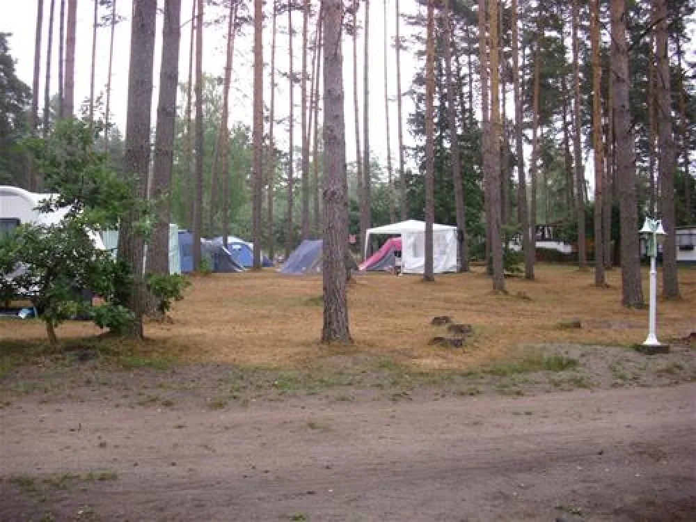 Campingoase Waldsee